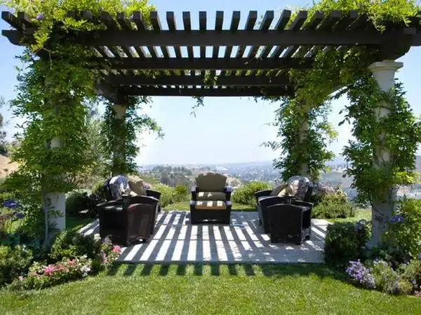 Pergola with climbing plants